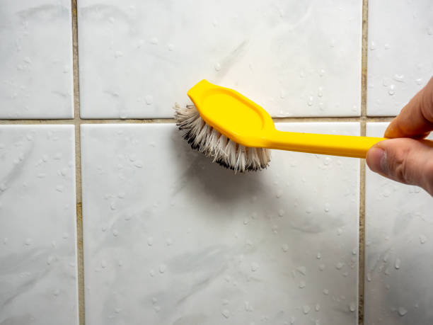 Best Black Mold Removal  in Fremont, IN