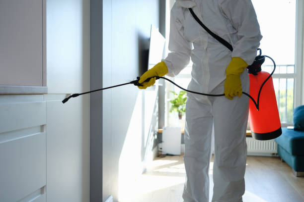 Best Attic Mold Removal  in Fremont, IN